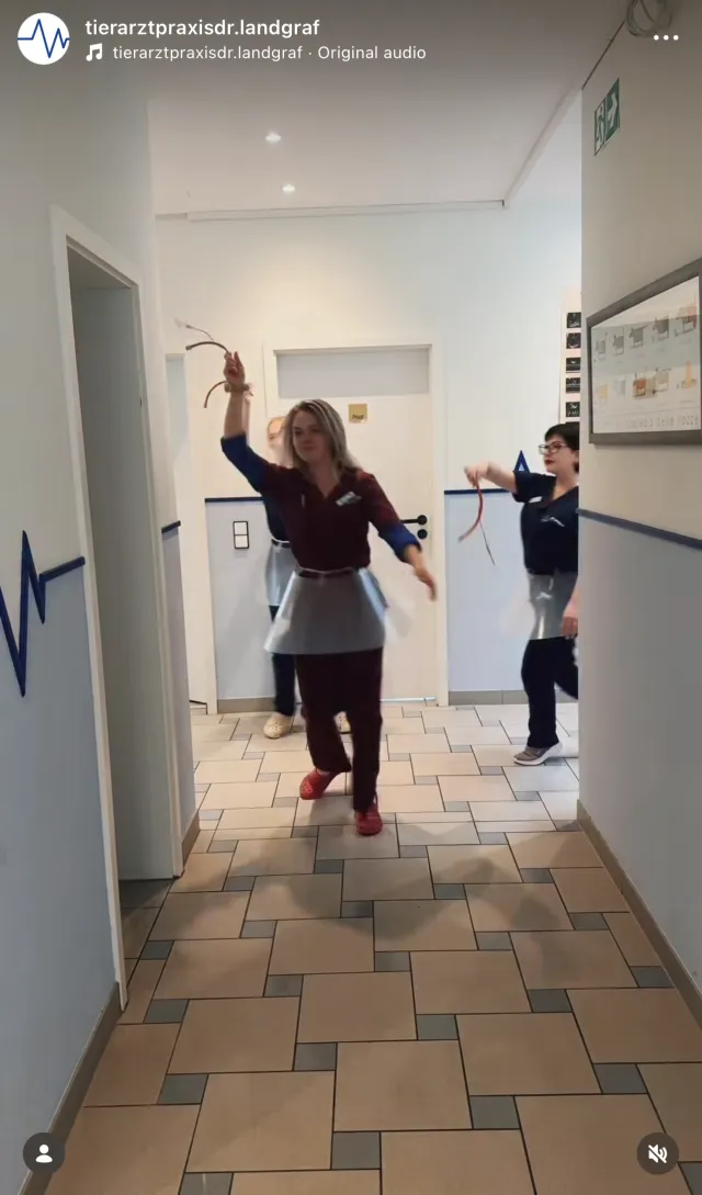 She was a fairy – Tierarztpraxis Moment