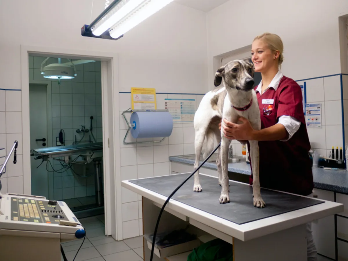 Geräte-Untersuchungen